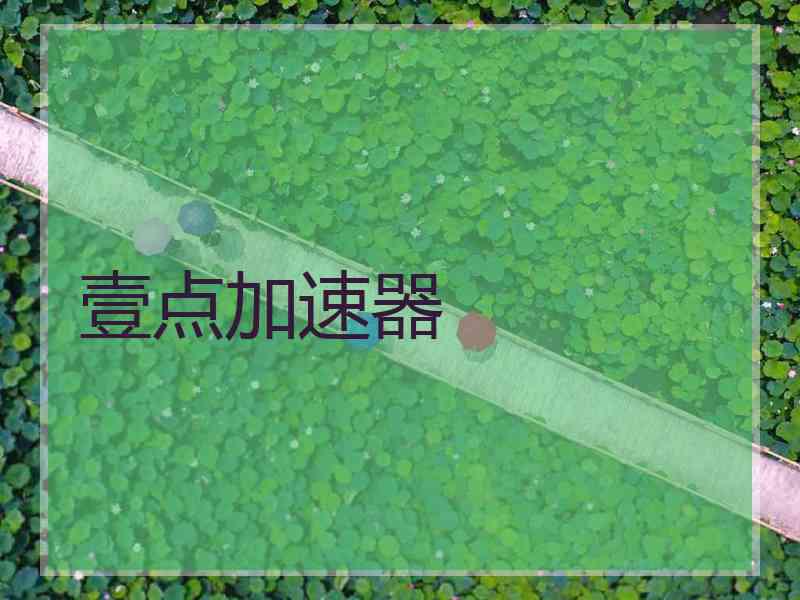 壹点加速器