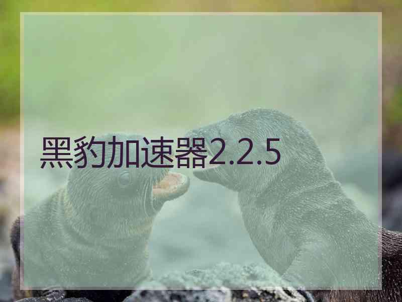 黑豹加速器2.2.5