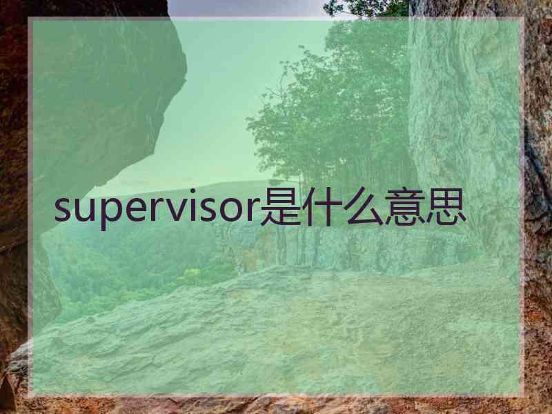 supervisor是什么意思