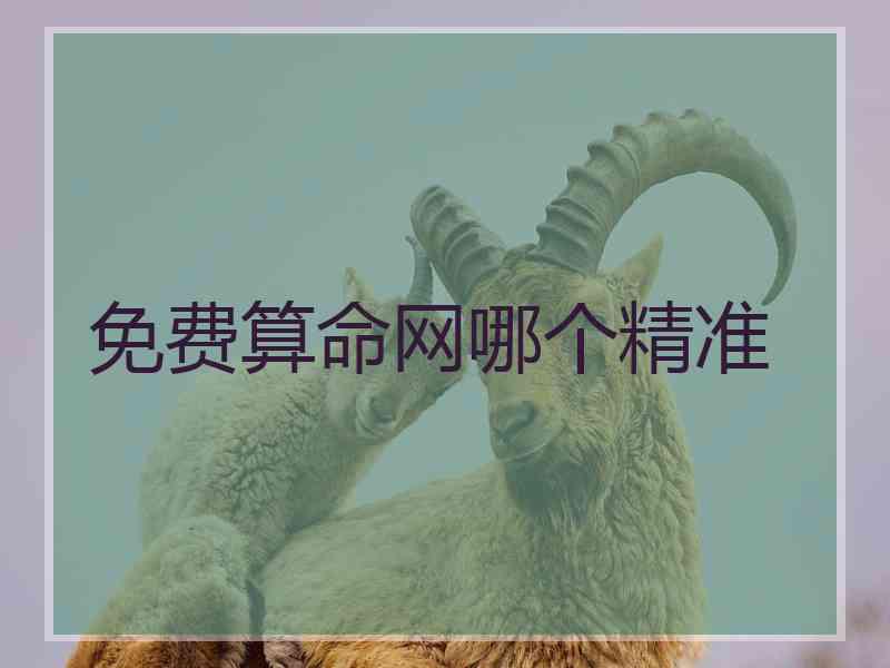 免费算命网哪个精准