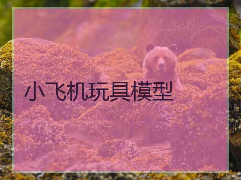小飞机玩具模型