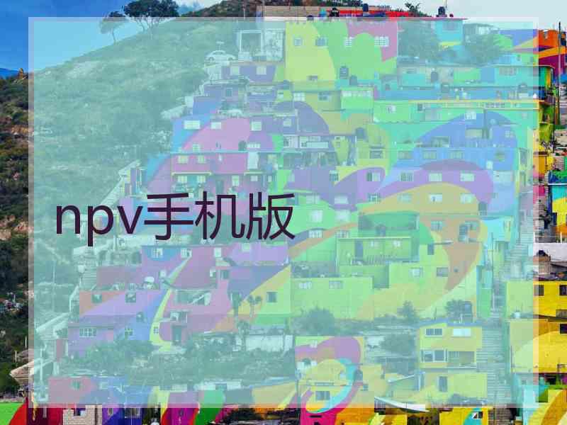 npv手机版