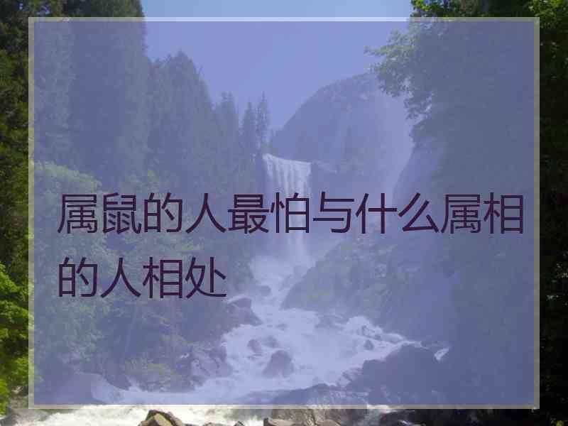 属鼠的人最怕与什么属相的人相处