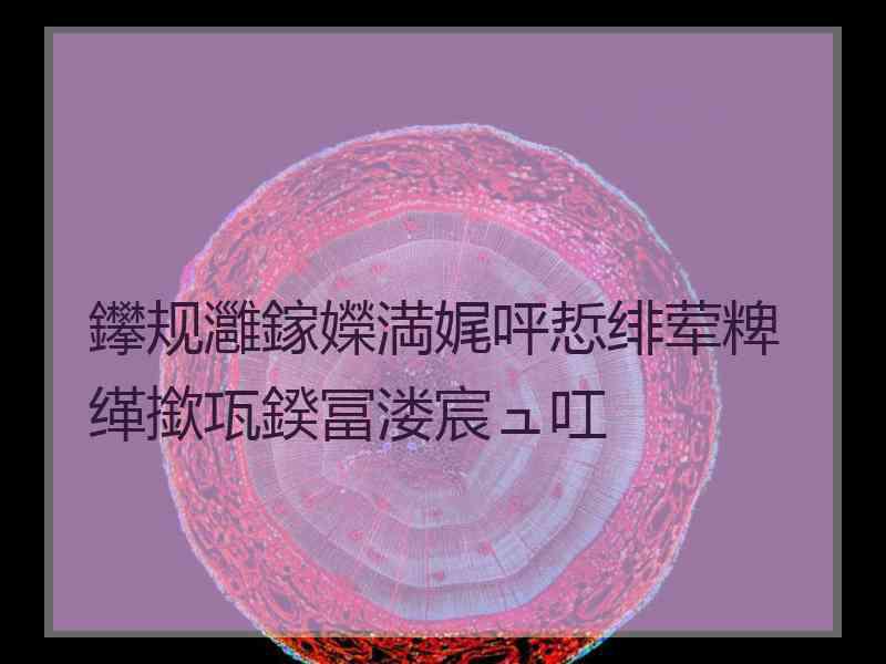 鑻规灉鎵嬫満娓呯悊绯荤粺缂撳瓨鍨冨溇宸ュ叿