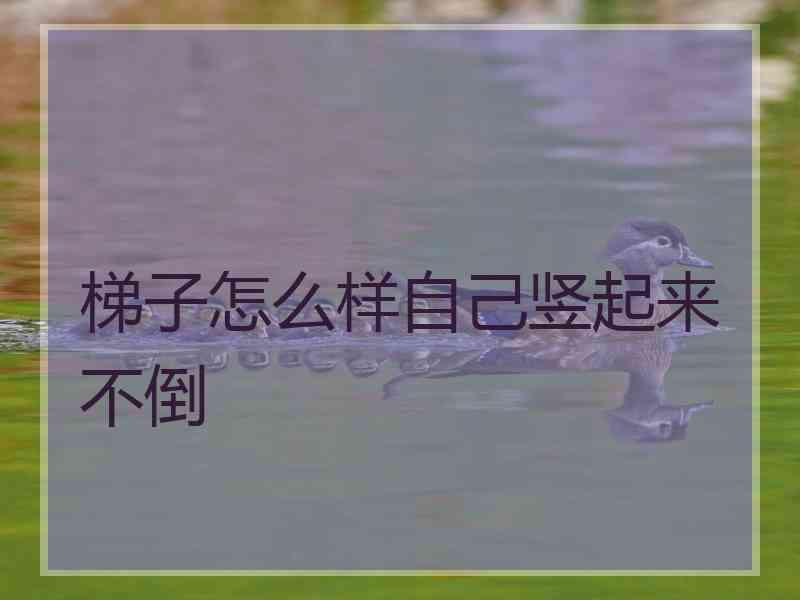 梯子怎么样自己竖起来不倒