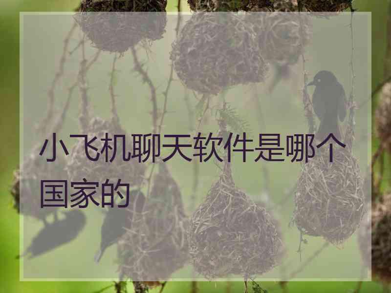 小飞机聊天软件是哪个国家的