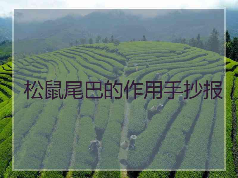 松鼠尾巴的作用手抄报