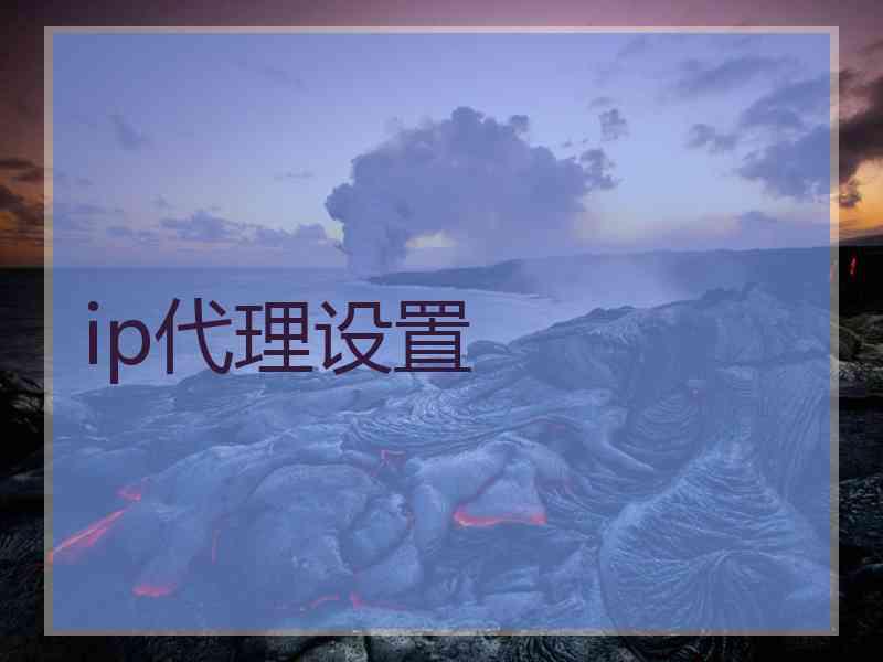 ip代理设置