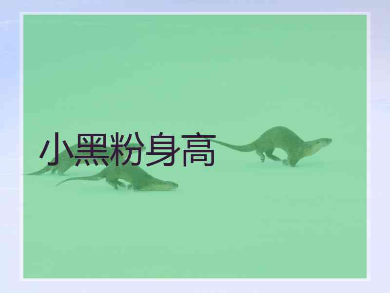 小黑粉身高