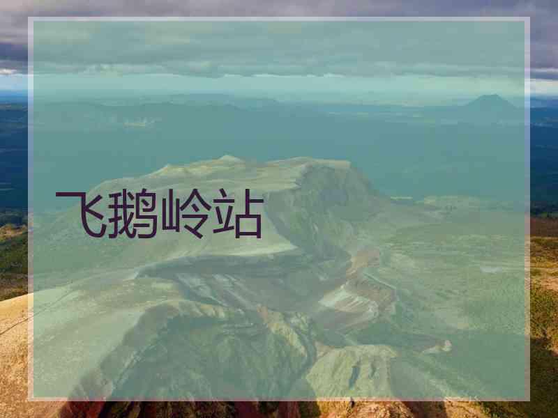 飞鹅岭站