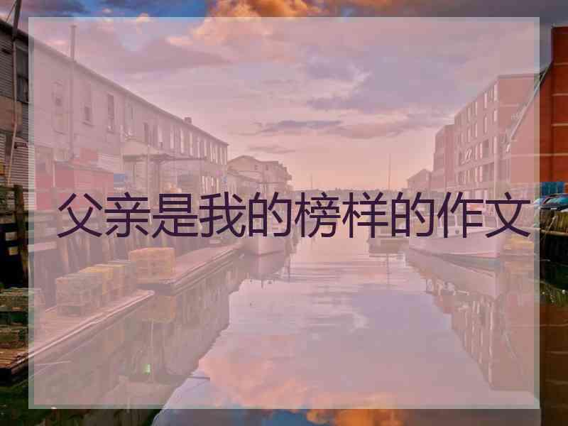 父亲是我的榜样的作文