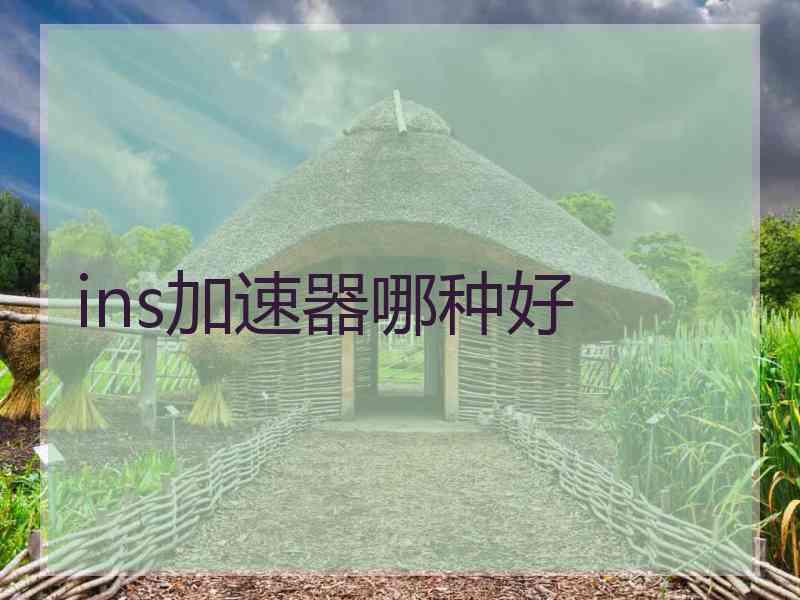 ins加速器哪种好