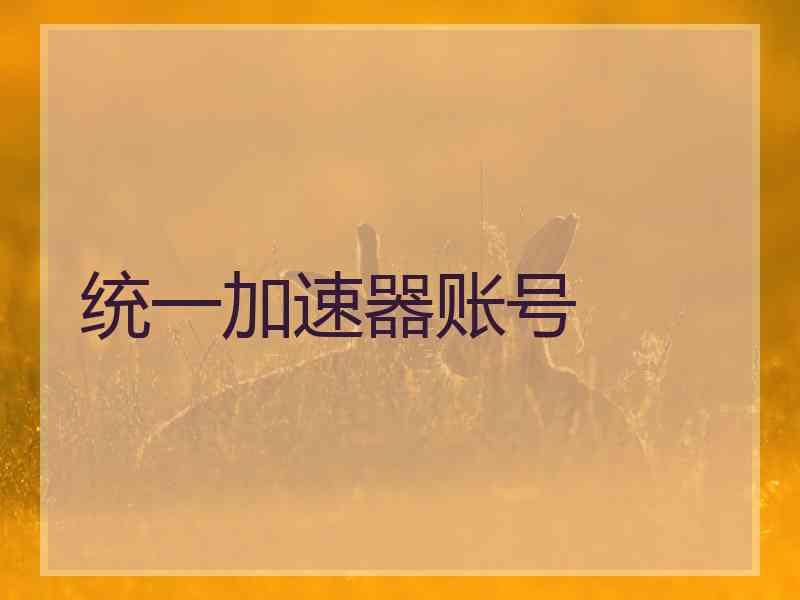 统一加速器账号