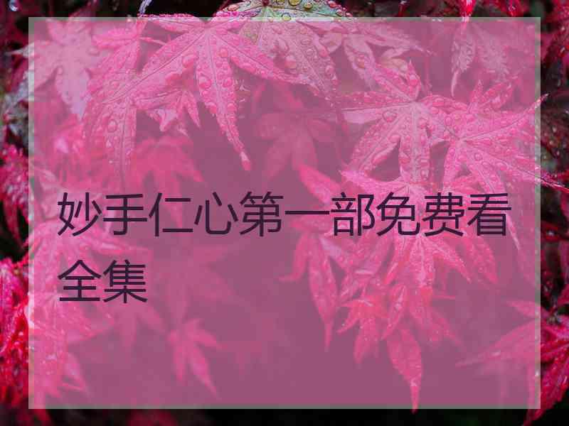 妙手仁心第一部免费看全集