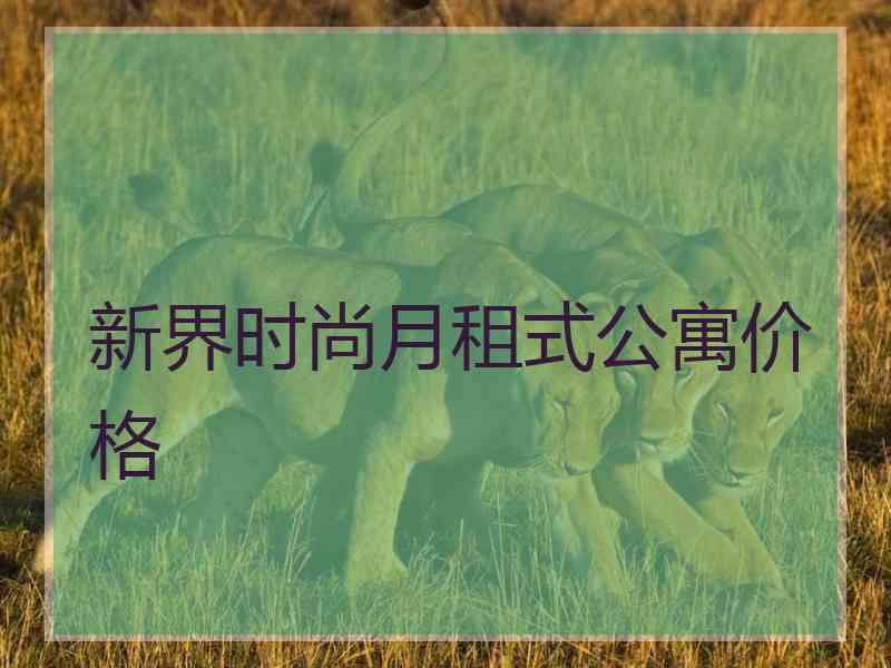 新界时尚月租式公寓价格