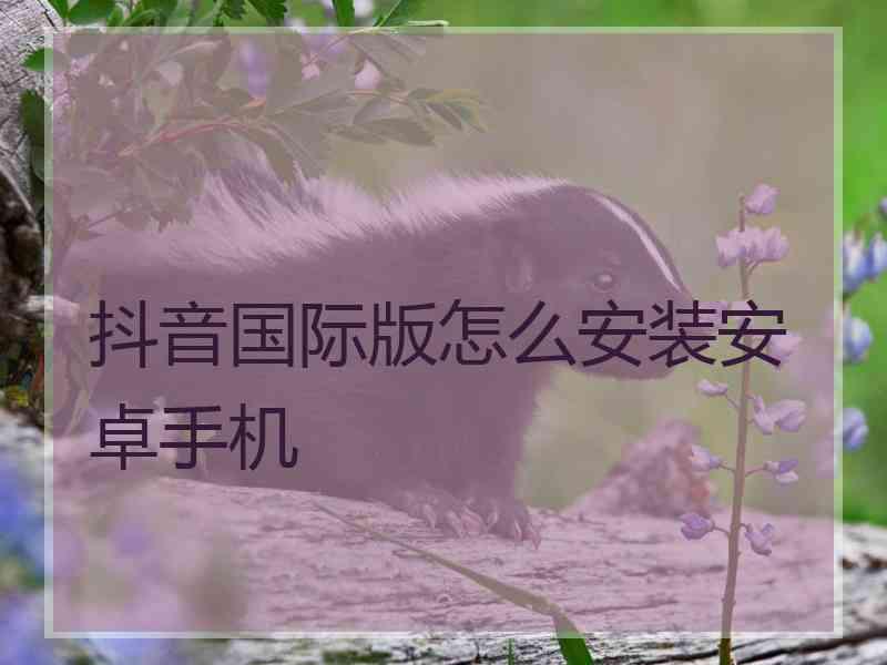 抖音国际版怎么安装安卓手机