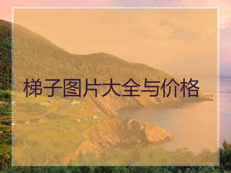 梯子图片大全与价格