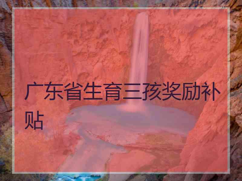 广东省生育三孩奖励补贴
