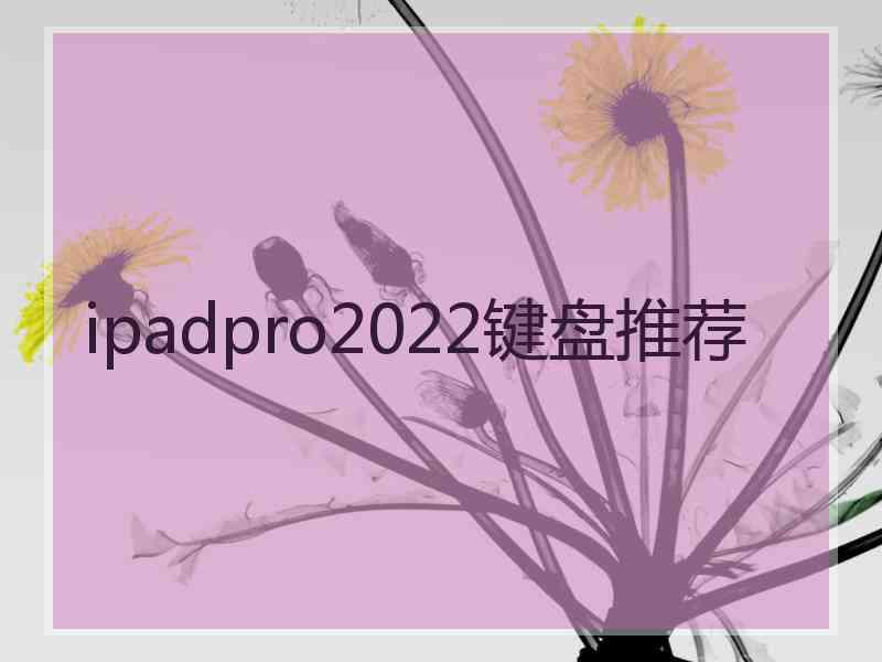ipadpro2022键盘推荐