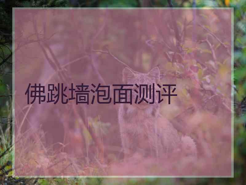 佛跳墙泡面测评