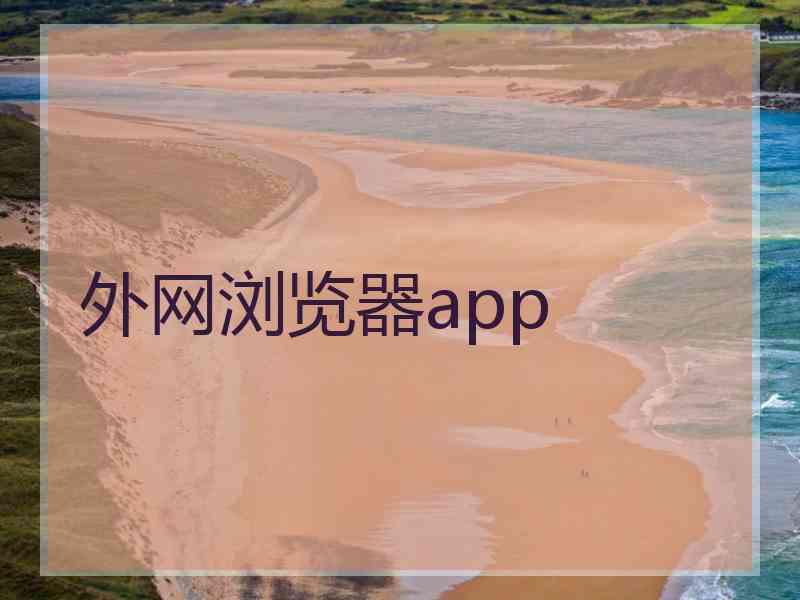 外网浏览器app