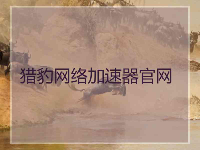 猎豹网络加速器官网