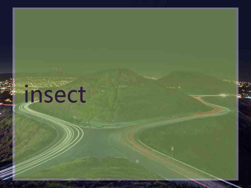 insect