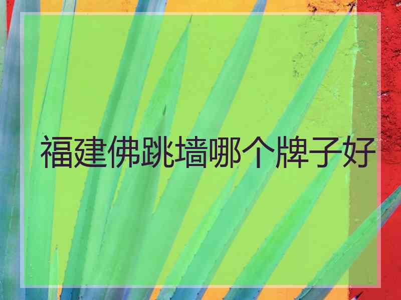 福建佛跳墙哪个牌子好