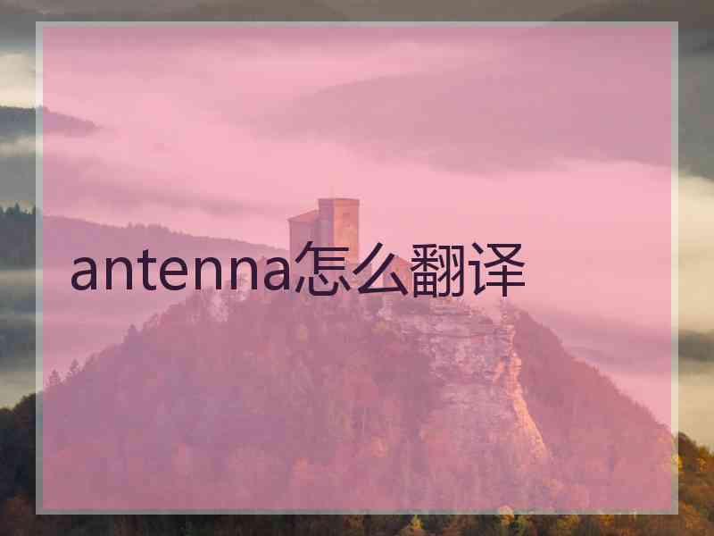 antenna怎么翻译