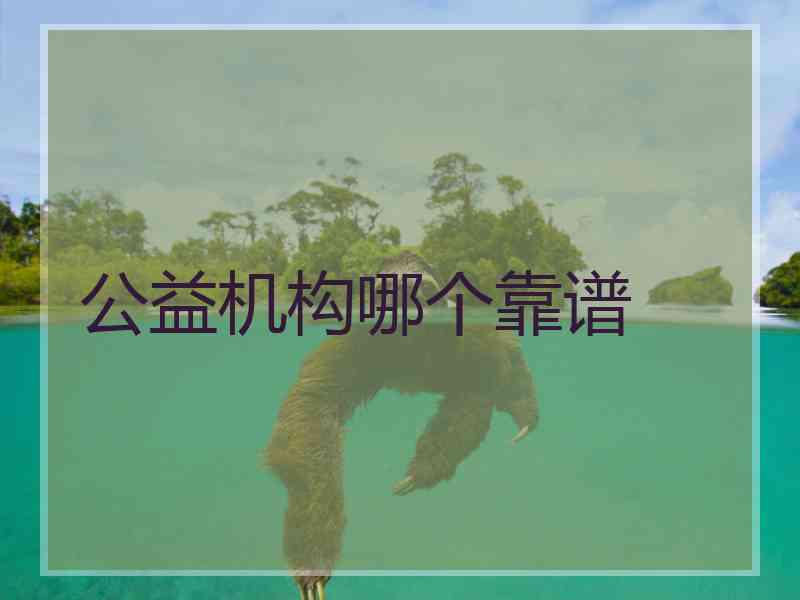 公益机构哪个靠谱