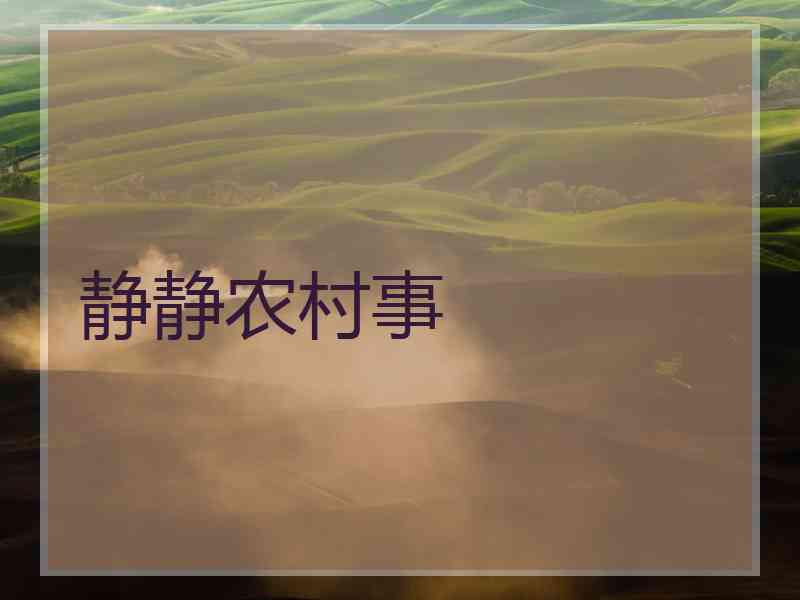 静静农村事
