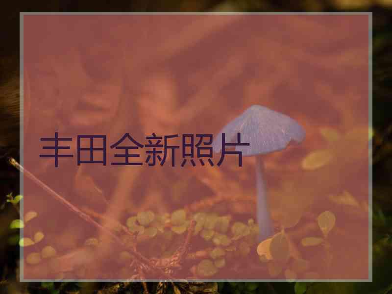 丰田全新照片