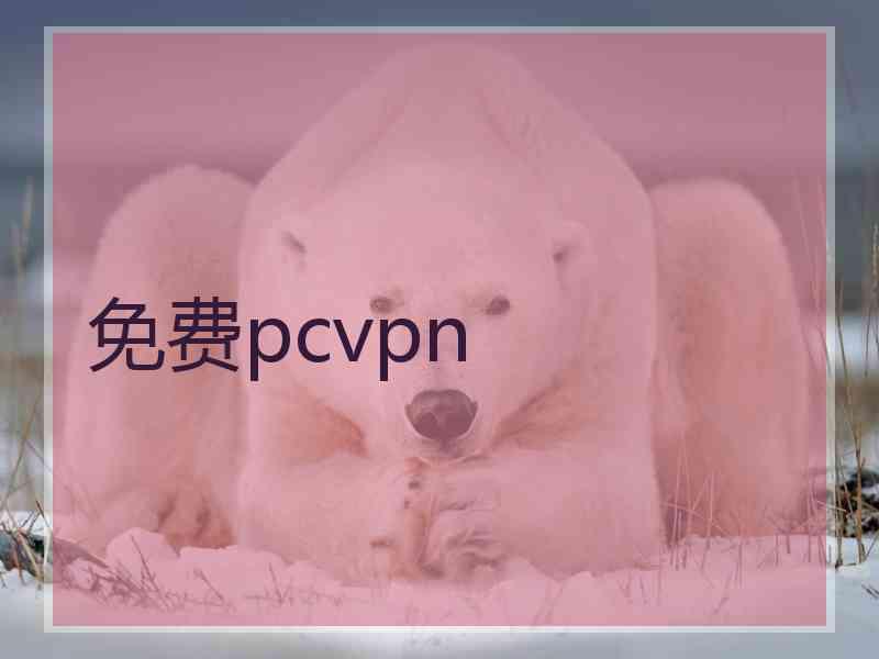 免费pcvpn