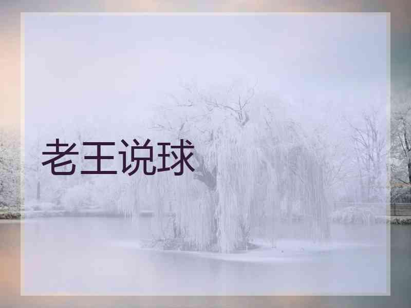 老王说球