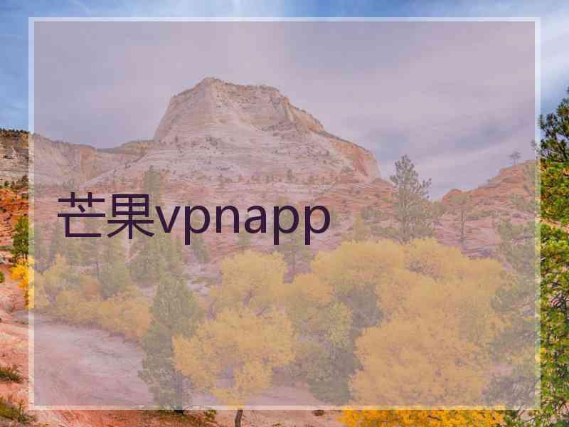 芒果vpnapp