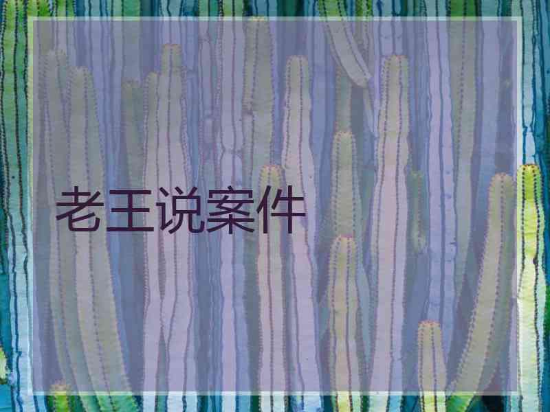 老王说案件