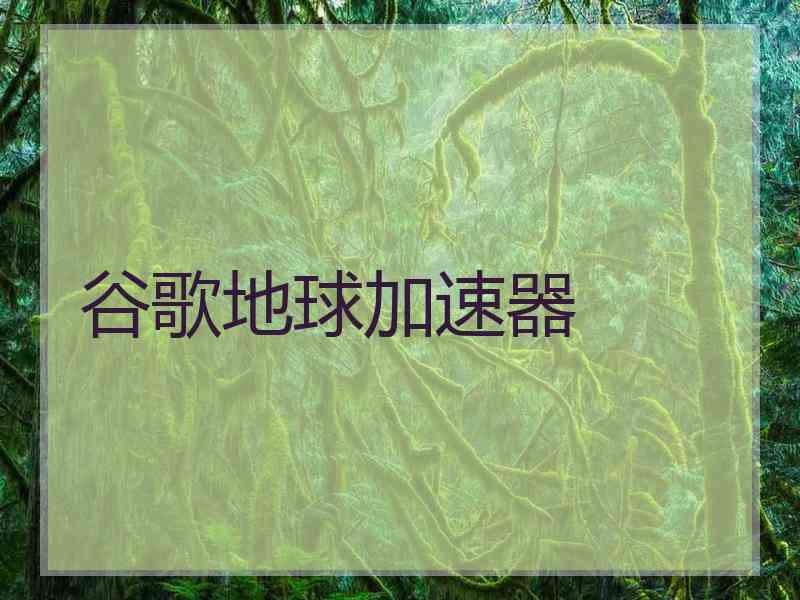 谷歌地球加速器