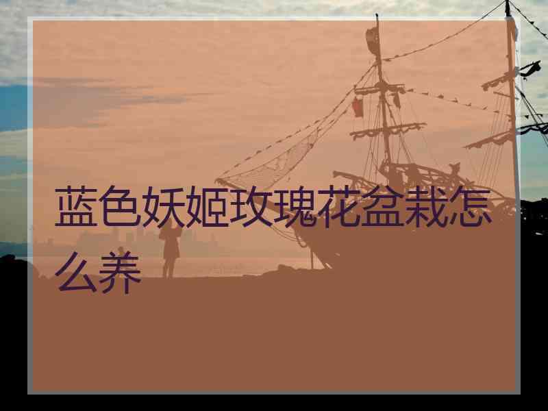 蓝色妖姬玫瑰花盆栽怎么养