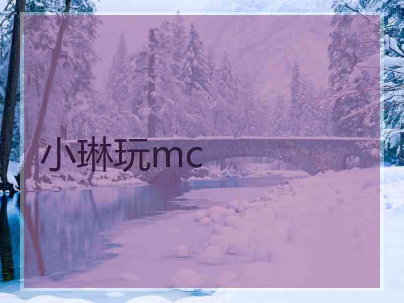 小琳玩mc