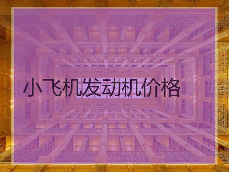 小飞机发动机价格
