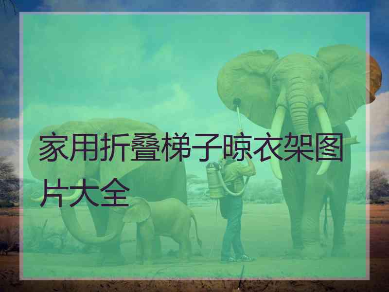 家用折叠梯子晾衣架图片大全