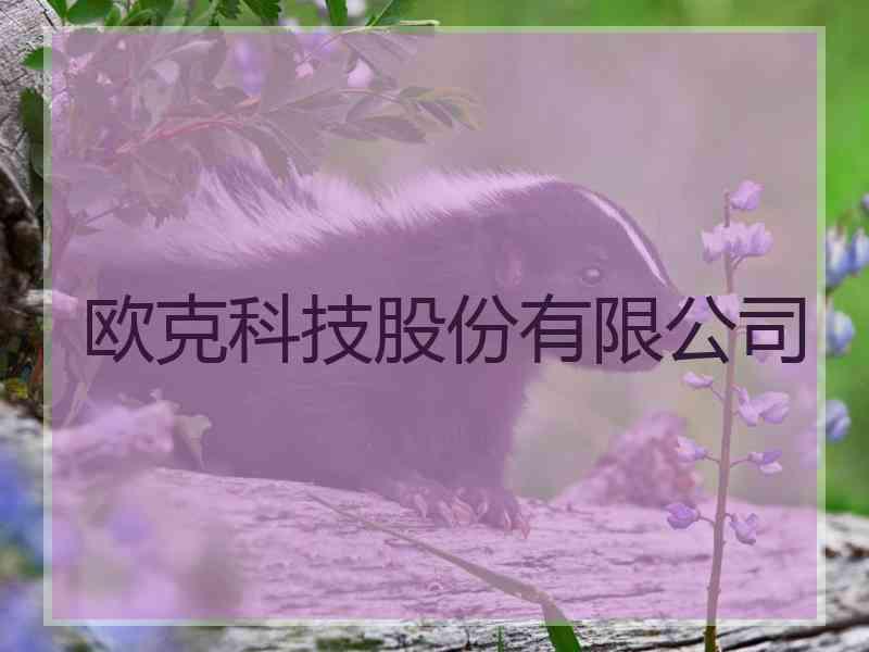 欧克科技股份有限公司