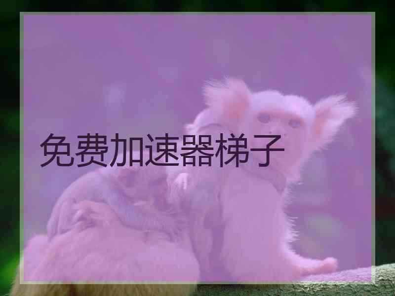 免费加速器梯子