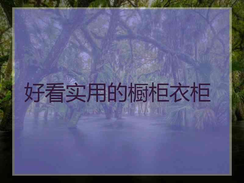 好看实用的橱柜衣柜