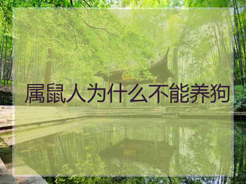 属鼠人为什么不能养狗