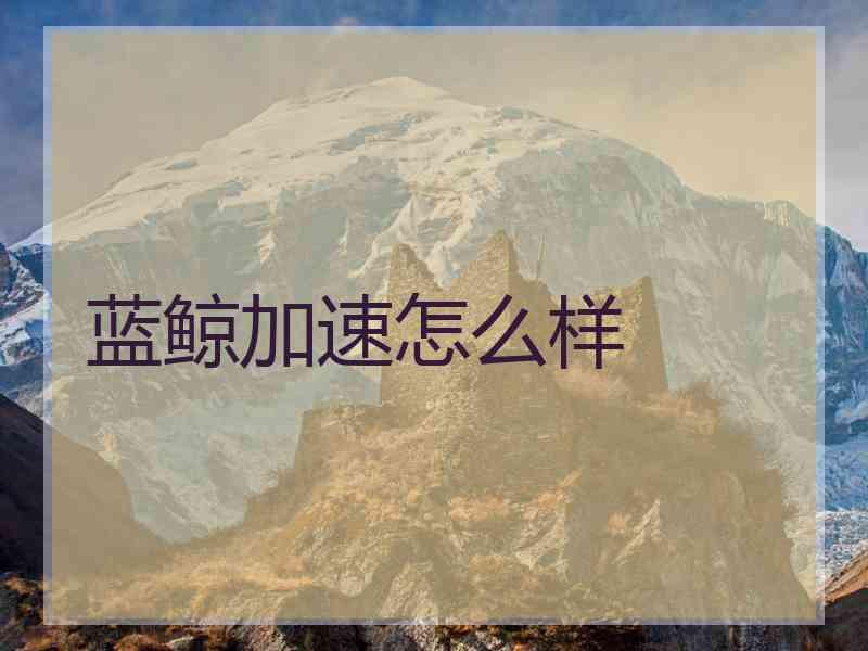 蓝鲸加速怎么样