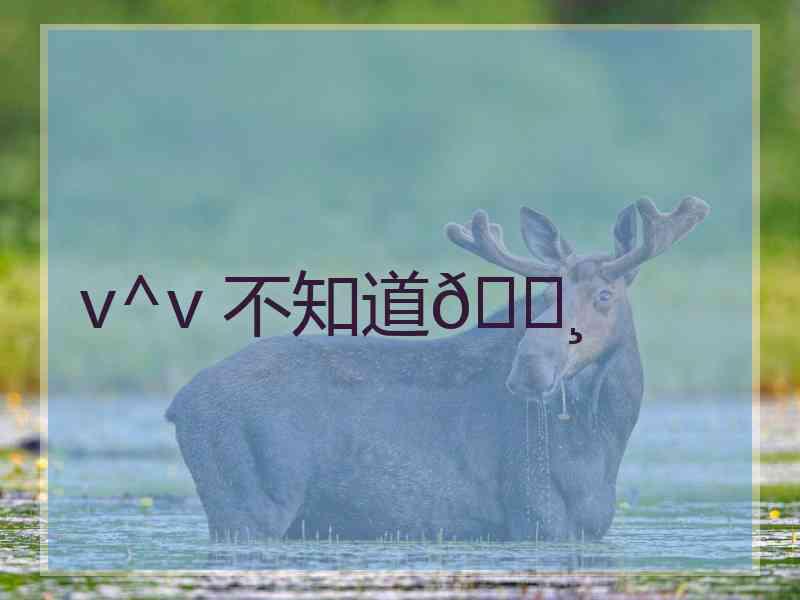 v^v 不知道🍸