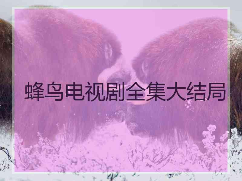 蜂鸟电视剧全集大结局