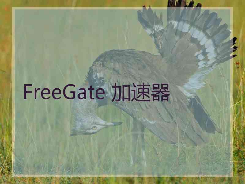 FreeGate 加速器