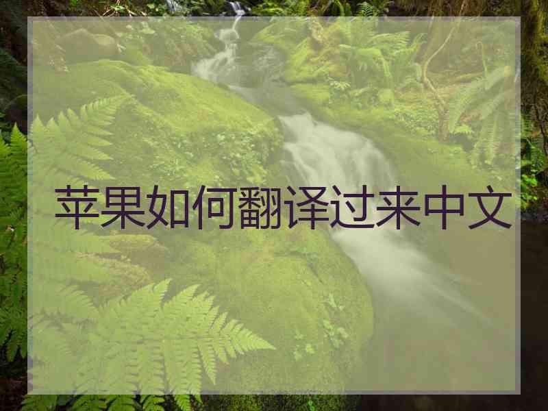 苹果如何翻译过来中文